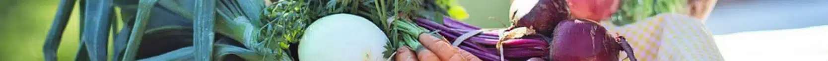 fresh_food_2_skinny_banner
