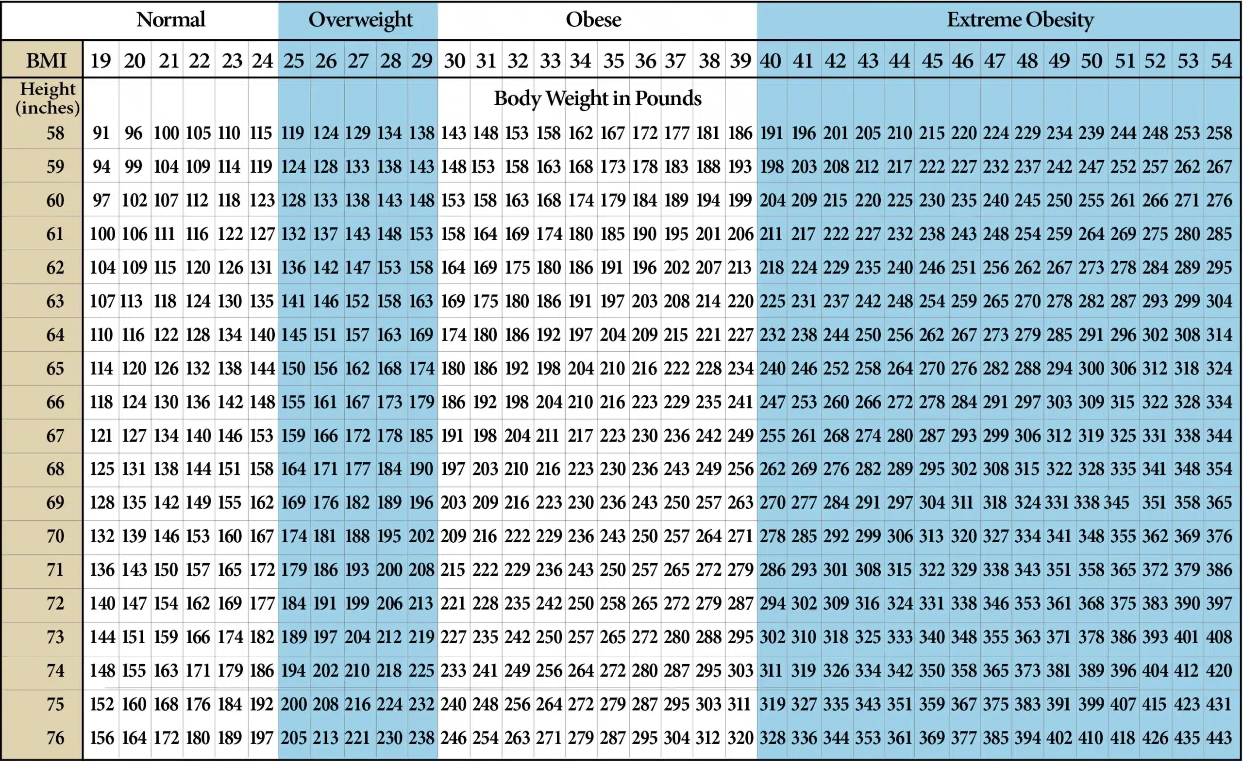 BMI Calculator