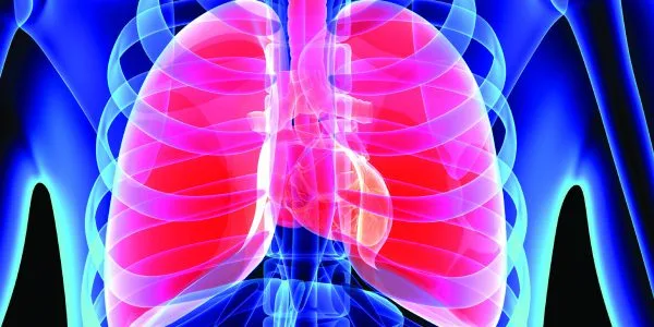 November is Lung Cancer Awareness Month