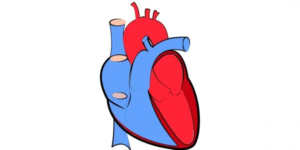 New device used for left atrial appendage closure at FMC